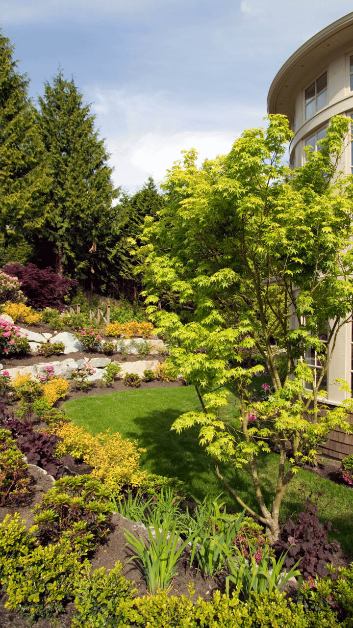 Residential landscape with tiered levels supported by stones, featuring a variety of plant species